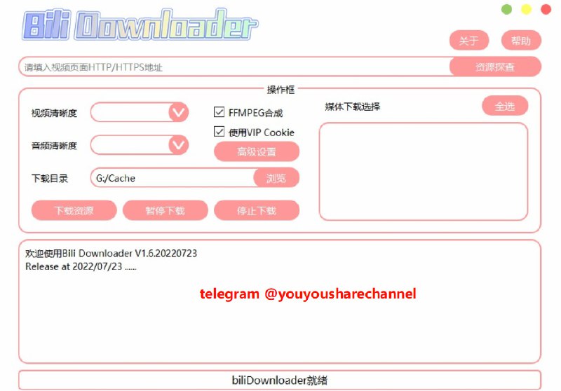 #Bilibili #B站😞 BliliDownloader，小破站下载工具一个免费的B站视频下载工具，它简单又好用，完全免费
