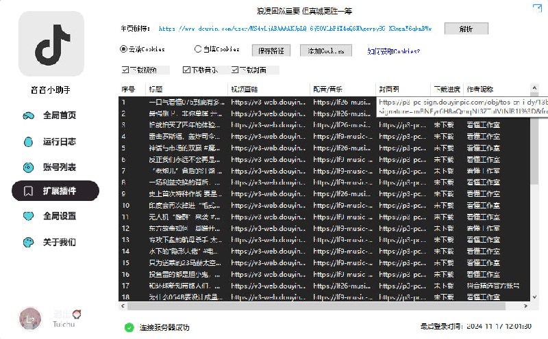 项目